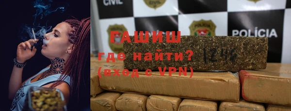 дмт Бородино