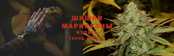 дмт Бородино