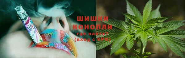 дмт Бородино