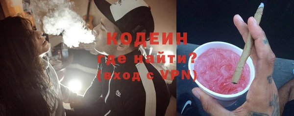 дмт Бородино