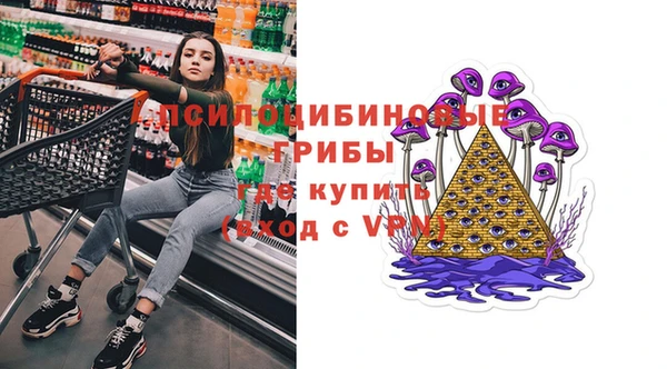 дмт Бородино