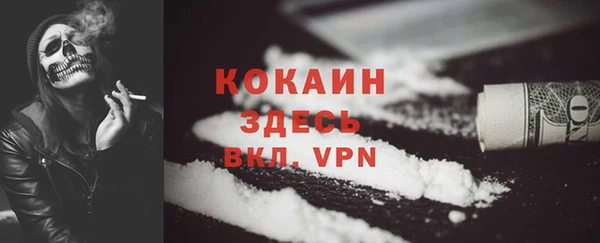 шишки Вязьма