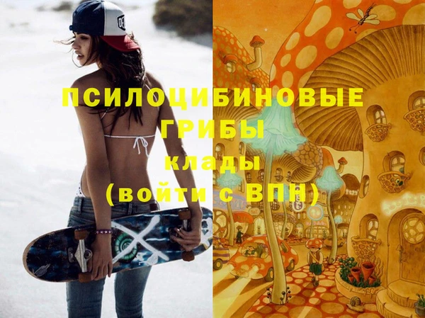 дмт Бородино