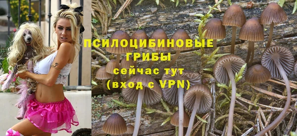 дмт Бородино