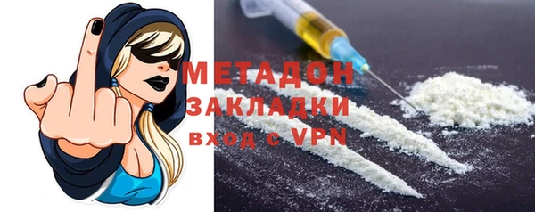 дмт Бородино