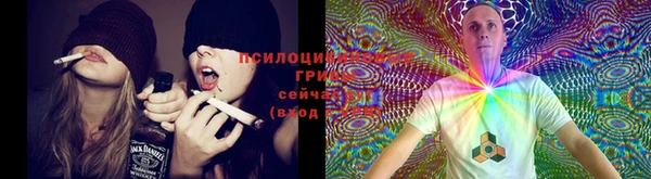 дмт Бородино